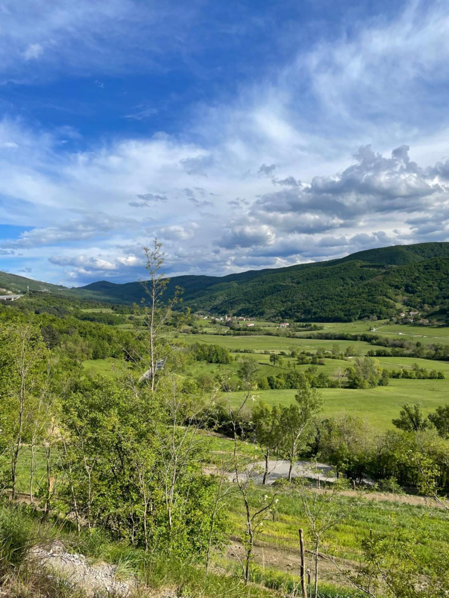 Homestead - Domacija - Nabergoj Podnanos 외부 사진